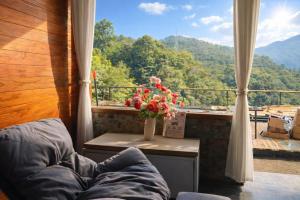 Cảnh núi rừng hoặc tầm nhìn ra núi từ khách sạn +153 ảnh