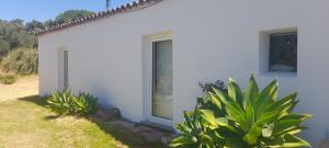 een wit gebouw met een raam en een aantal planten bij Casa Branca AL in Monchique +7 foto's