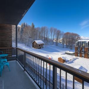 Apart Hotel ART 206 om vinteren