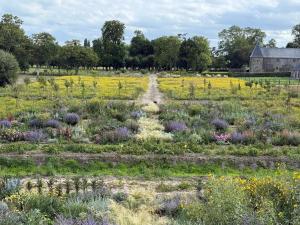 a field of flowers with a building in the background at Domaine du Manoir de Vains in Vains +21 photos