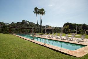a swimming pool with lounge chairs and palm trees at Hotel Boutique Villa Emilia in Playa