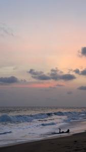 Naturlandskabet i nærheden af lejligheden