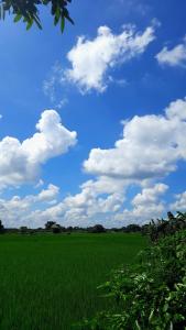 Naturlandskabet i nærheden af hotellet