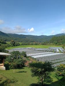 uitzicht op een boerderij met bomen en een veld bij จรรยา โฮมเสตย์ in Chom Thong