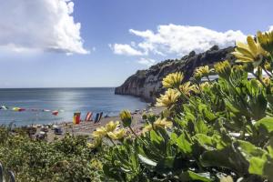 Naturlandskabet i nærheden af feriehuset