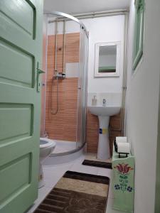 Et badeværelse på Casuta Mariei, Borsa,Maramures