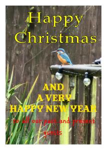 een vogel zittend op een vogelvoer met een vrolijk kerstteken bij Woodies in Peasmarsh