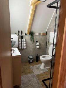 ein Badezimmer mit Toilette und Waschbecken in der Unterkunft Vila Jezero-Jajce in Jezero + 37 Fotos