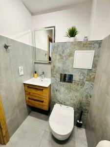 een badkamer met toilet en wastafel bij Kwatera na Zakładowej in Starachowice
