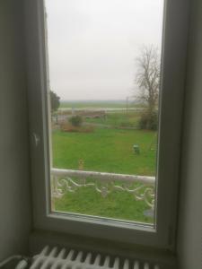 Příroda nedaleko ubytování v soukromí