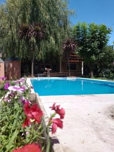 een zwembad met bloemen ervoor bij El sauce solo familia in Mar del Plata