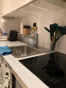 eine Küche mit Spüle und Arbeitsplatte in der Unterkunft Studio Mokum in Amsterdam + 1 Foto