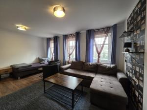 TV a/nebo společenská místnost v ubytování Mikra Homes24 in Meerane