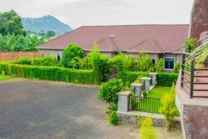 een huis met een tuin met groene hagen bij Mufasha Boutique Suites in Kisoro