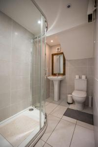 een badkamer met een douche, een toilet en een wastafel bij Richmond Hill in Dublin