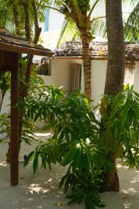 a house with palm trees in front of it at Noorani Retreat Dhiffushi in Dhiffushi