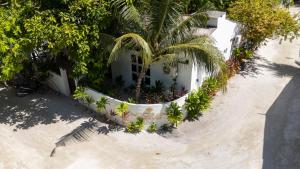 Zahrada ubytování Noorani Retreat Dhiffushi