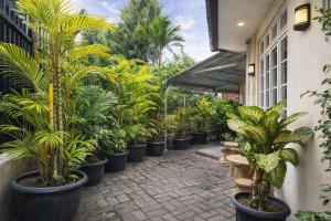 een rij planten in potten op een patio bij Acrolia Homestay in Sentool
