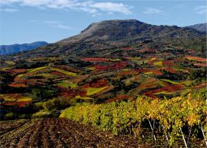Příroda nedaleko bed and breakfast