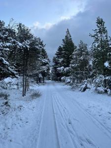Το Nordic Summer House In Ålbæk With Spa And Sauna τον χειμώνα