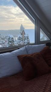 Naturlandskabet i nærheden af feriehuset