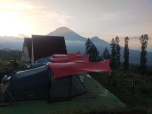 un groupe de tentes avec une montagne en arrière-plan dans l'établissement Khanzana Cabin and Camp Telaga Menjer, à Kejajar
