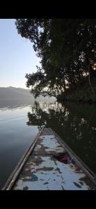 a boat on a body of water with a tree at Glamping Begnas in Deorāli