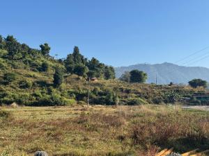 a grassy field with trees on a hill at Glamping Begnas in Deorāli