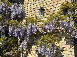 Vườn quanh L'aiguade 4