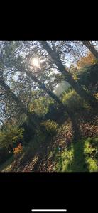 Phong cảnh thiên nhiên gần căn hộ +2 ảnh