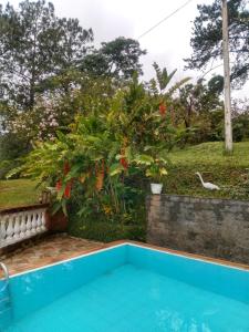 een blauw zwembad in een tuin met bloemen bij Sítio Refúgio Primavera in Monte Verde