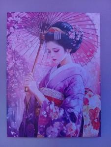 ein Gemälde einer Frau mit einem Regenschirm in der Unterkunft les cités romance le Tokyo in Carcassonne