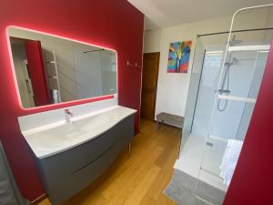 ein Badezimmer mit Waschbecken und Dusche in der Unterkunft Les chambres de Lagarrigue, soirée étape in Senouillac