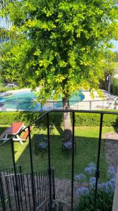 un balcone con un albero e una piscina di Vía Verde a Gualeguaychú