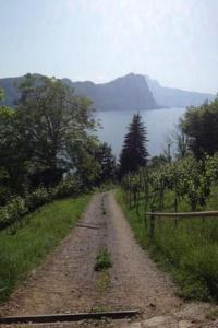 a dirt road with a view of the water at Apartment Mätzli by Interhome in Vitznau