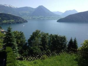 a view of a lake with mountains in the background at Apartment Mätzli by Interhome in Vitznau