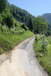 a dirt road with a cross on the side at Apartment Mätzli by Interhome in Vitznau