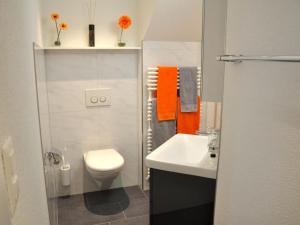 a small bathroom with a toilet and a sink at Apartment Rätia by Interhome in Wolfhalden  +17 photos
