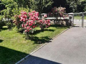 En have udenfor Mountain Flower Apartment