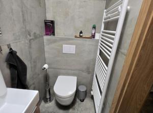 een kleine badkamer met toilet en wastafel bij Villa Bella Vista in Gačice +5 foto's