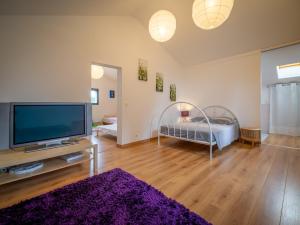 ein Wohnzimmer mit einem großen Fernseher und einem lila Teppich in der Unterkunft Les chambres de Lagarrigue, soirée étape in Senouillac