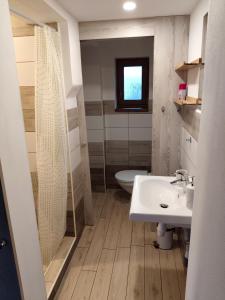een badkamer met wastafel, douche en toilet bij Apartmán Opolany in Opolany