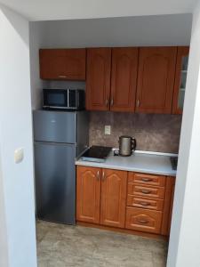 een keuken met houten kasten en een roestvrijstalen koelkast bij Apartmán Opolany in Opolany +4 foto's