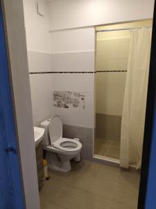 een badkamer met een toilet en een douche bij Apartmán Opolany in Opolany