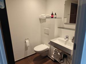 a white bathroom with a toilet and a sink at Hotel og Restaurant Havbadet in Thisted