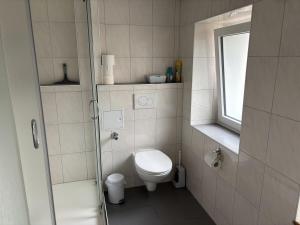 un bagno con wc e doccia in vetro di Ferienwohnung Marienhof Erdgeschoss a Seelbach Altre 19 foto