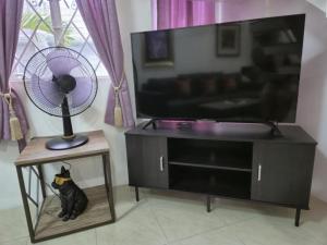 Et tv og/eller underholdning på Cosy 2 bedroom in Paramount by Kandi