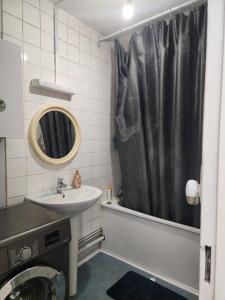 une salle de bain avec un lavabo et un rideau de douche dans l'établissement Bright apartment 1 to 3 bedrooms, à Besançon