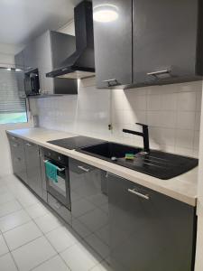 une cuisine avec un évier et un plan de travail dans l'établissement Bright apartment 1 to 3 bedrooms, à Besançon