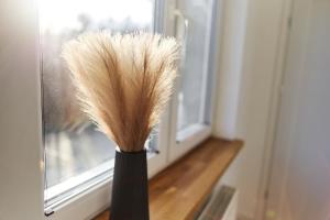 Billede fra billedgalleriet på Park & Town Apartment i Drawsko Pomorskie